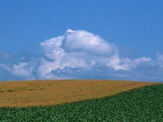 Hokkaido Travel Summer Country Field Farmland Scenery Farm