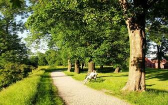 Park HD Wallpaper Res Desktopas