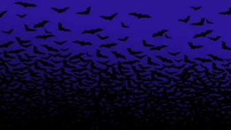 Cute Bat Wallpaper HD In Animals Imageci