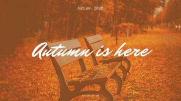 Best Fall Wallpaper For Your Desktop