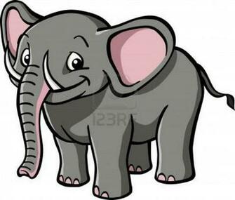Elephant Face HD Wallpaper In Animals Imageci