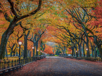 4k Fall Wallpaper