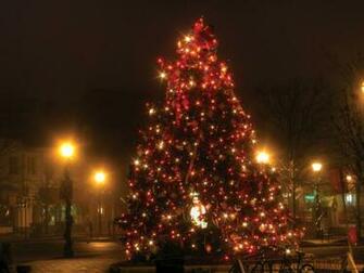 Christmas Tree Lights Wallpaper Fondo HD