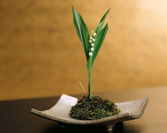 Ikebana Perfecto Wallpaper