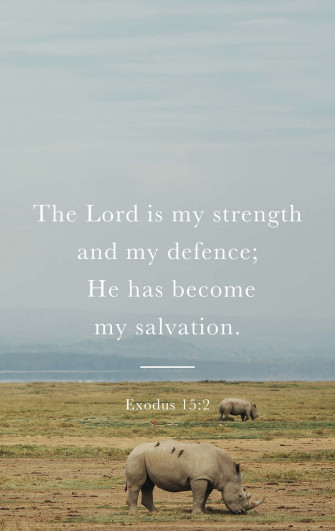 Bible Verse Phone Wallpaper