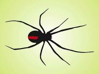 Black Widow Spider Wallpaper