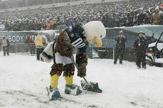 Best My Team Image Philadelphia Eagles