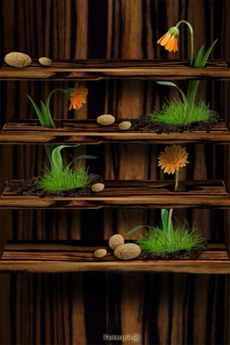 Shelves Phone Wallpaper Samsung Galaxy iPhone