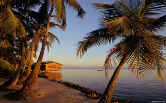Roatan Photo Spiaggia Del Villaggio HD