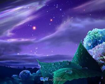 Flower Huge Collection Of Amazing High Resolution Wallpaper Photo