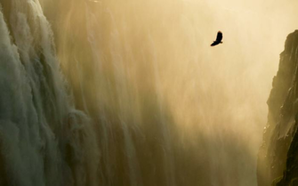Mac Os X Lion Wallpaper