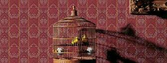 Wallpaper Home Accents Sherwin Williams