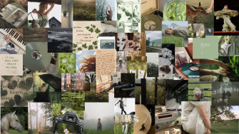 Taylor Swift Fearless S Version Folklore Evermore Green