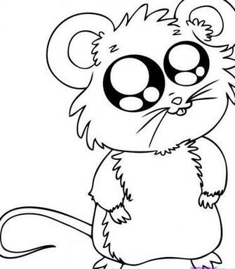 Cartoon Baby Animals Coloring S Widescreen HD Wallpaper