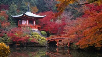 Incoming Search Terms Japan Kyoto Beautiful Gardens
