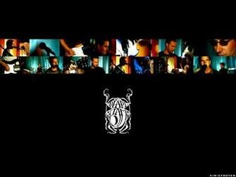 Social Distortion