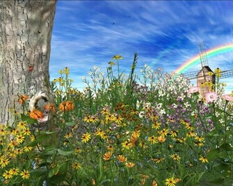 Spring Desktop Wallpaper Amazing Collection