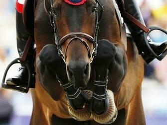 Equestrian Sport Wallpaper Horse Jumping Image