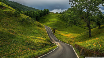 Green Hills Wallpaper