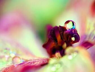 Spring Desktop Pc And Mac Wallpaper