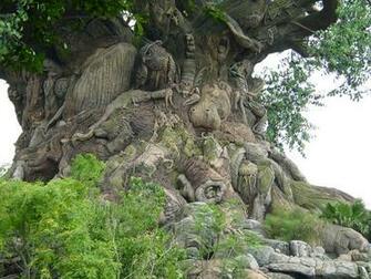 Animal Kingdom