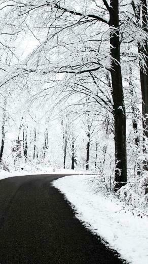 Best iPhone 6s Christmas Winter Wallpaper Background