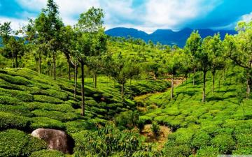 Wallpaperwide India Ultra HD Wallpaper For UHD Widescreen
