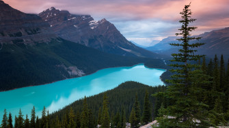 Peyto Lake Canada Mountains 4k Wallpaper HD Nature Image