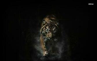 Angry Wallpaper Wallpaperexpert Journal