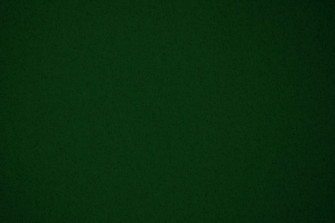 Forest Green Wallpaper