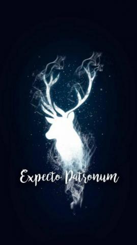 Harry Potter Patronus Google Search Wallpaper