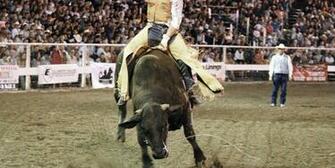 Go Back Gallery For Bull Riding Wallpaper