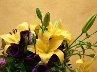 Beautiful Wallpaper Colorful Flower