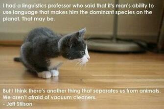 Funny Animals With Sayings Background Wallpaper