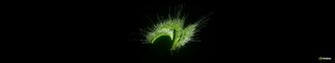 Nvidia Jubilee Wallpaper Demos And
