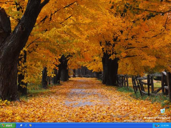 Windows Xp Build Gallery Content From Supersite For