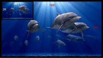Top 16k Resolution Image For