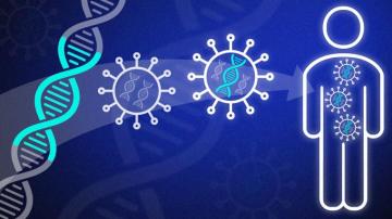 Fda S Efforts To Advance The Development Of Gene Therapy