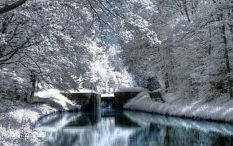 Jami Burch Winter Scene Wallpaper