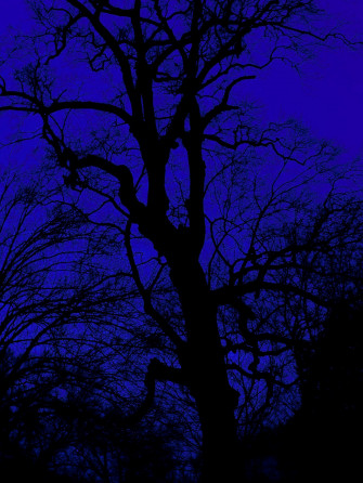 Electric Blue Aesthetic Wallpaper