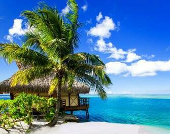 Bora Sea Palm Trees Tropical Bungalow Beach Sand Wallpaper