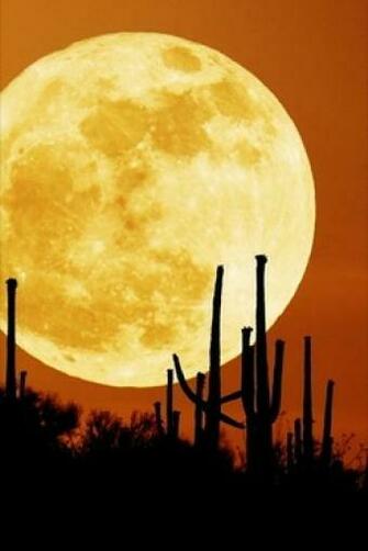 Full Moon iPhone HD Wallpaper