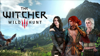 Witcher Wild Hunt Wallpaper By Roxelp