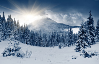 Winter Forest Wallpaper Nature Mountain