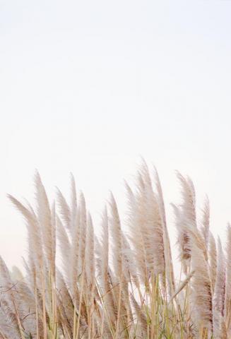79ideas Minimalist Photography Aesthetic