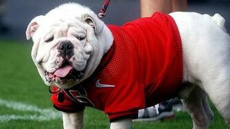 Georgia Bulldogs