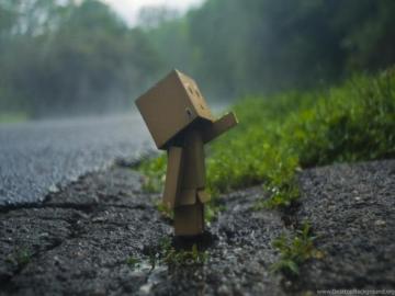 Wallpaper Lonely Girl HD Little Box Summer Rain