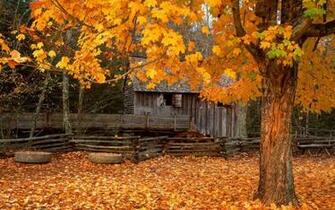 Autumn Of Great Smoky Mountain Wallpaper