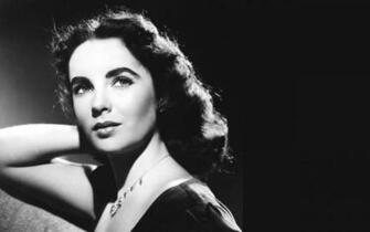 Elizabeth Taylor Wallpaper Photos High Quality Pics