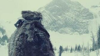 The Revenant Wallpaper Movie HD
